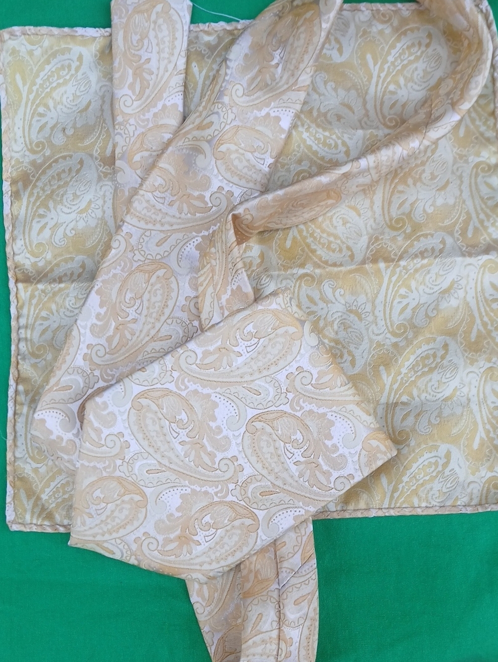 Elegant Cream Paisley Silk Tie and Pocket Square Set